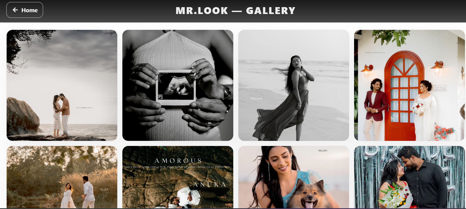 Mr.Look Photography Gallery